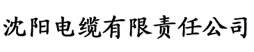 亚洲国产中文在线二区三区电缆厂logo